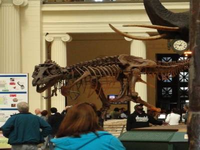 Field Museum of Natural History