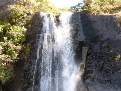 Franz Joseph Glacier