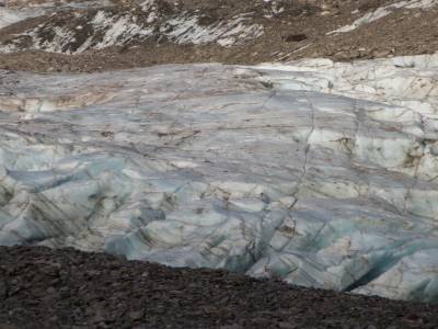 Franz Joseph Glacier