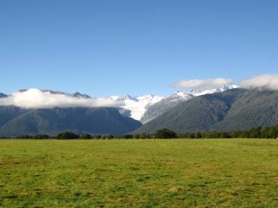 Skydive Fox Glacier