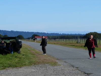 Skydive Fox Glacier