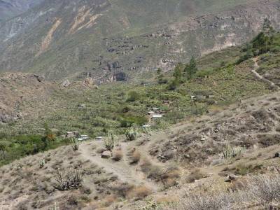 Cést bon droit vers le haut 
