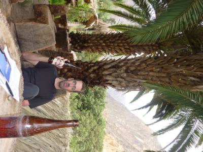 Oasis de sangalle