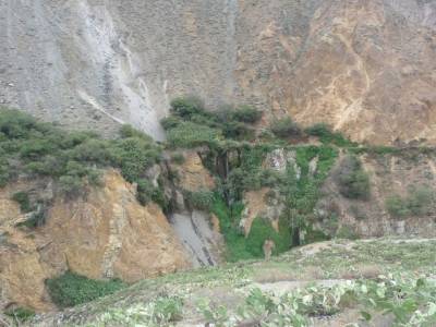 Canyon