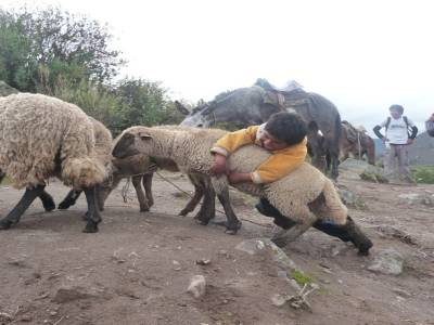 Transport peruvien