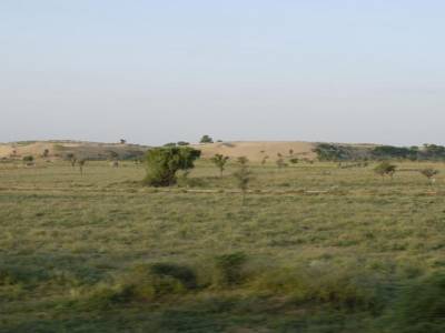 La campagne entre Jodhpur et Jaisalmer