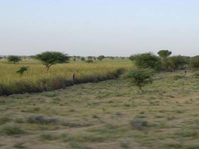 La campagne entre Jodhpur et Jaisalmer