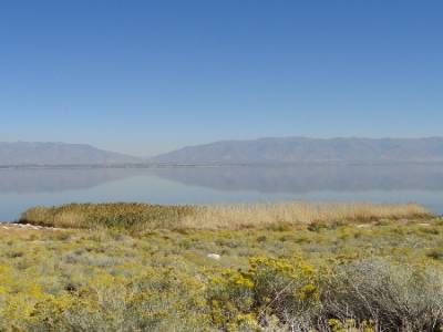 Antelope Island