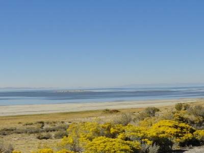 Antelope Island