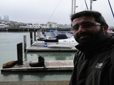 Tonton et les otaries