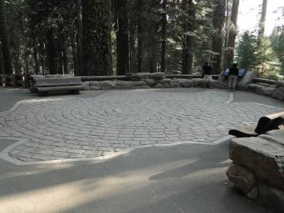Vous avez sous vos yeux l'empreinte de General Sherman, le plus grand Sequoia du monde, avec plus de 30m de circonférence et 84m de haut