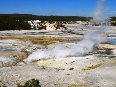 Norris Geyser Basin