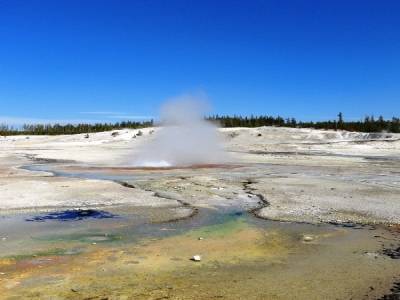Norris Geyser Basin