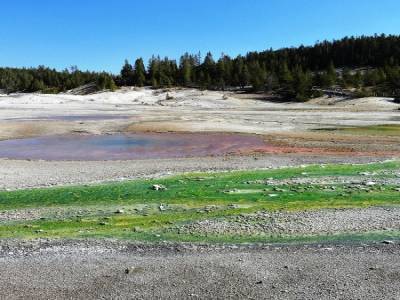 Norris Geyser Basin