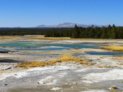 Norris Geyser Basin