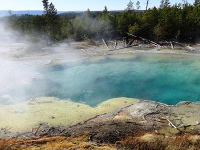 Norris Geyser Basin