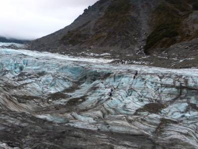 Half day walk Fox Glacier
