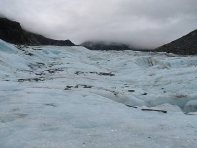 Half day walk Fox Glacier