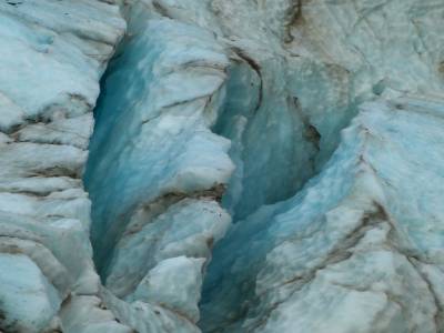 Half day walk Fox Glacier