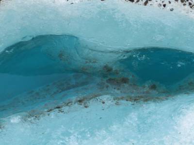 Half day walk Fox Glacier