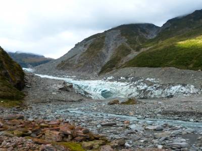 Half day walk Fox Glacier