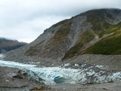 Half day walk Fox Glacier
