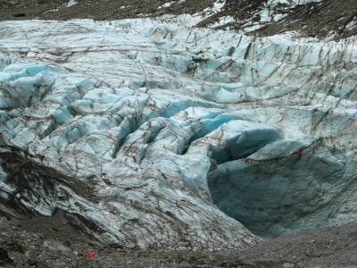 Half day walk Fox Glacier