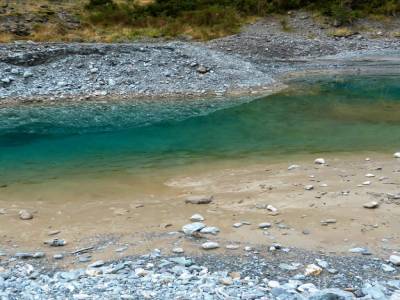 Half day walk Fox Glacier