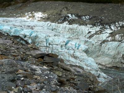 Half day walk Fox Glacier