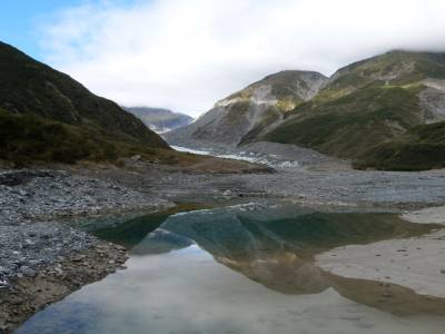 Half day walk Fox Glacier
