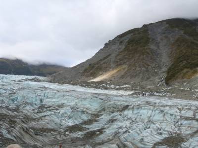 Half day walk Fox Glacier