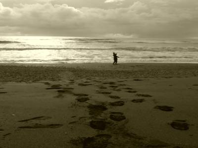 Gillespies beach