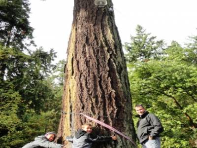 Stanley Park