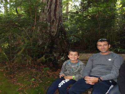 Redwood National Park