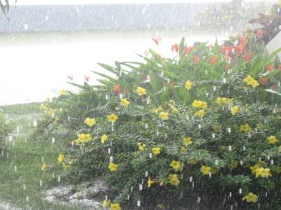 Celle qui ne nous a pas quitte pendant cette semaine : La pluie