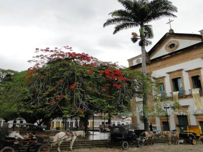 Les belles couleurs de Paraty