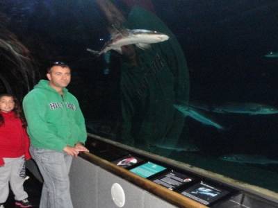 Aquarium of the Bay