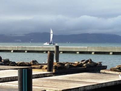 Pier 39