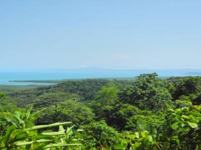 foret tropicale et mer bleue turquoise..