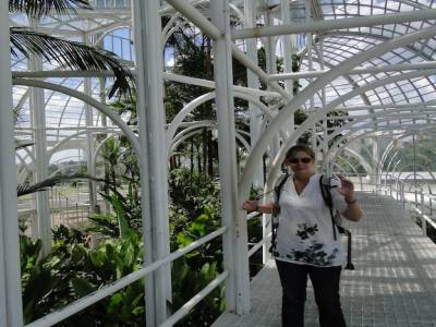 le "fameux" jardin botanique de curitiba