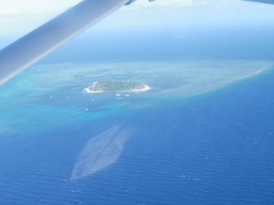 Green island
