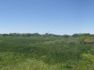 Panoramique - Reserva Ecologica