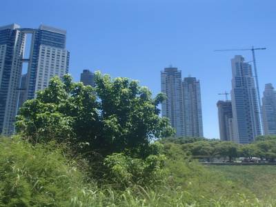 Gratte ciel - Reserva Ecologica