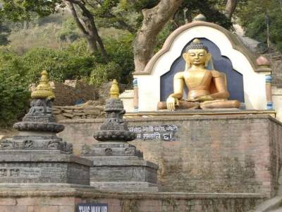 Monkey Temple