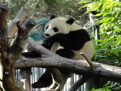 San Diego Zoo