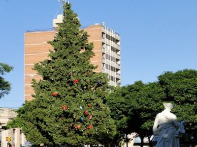 L'arbre de Noel de Salto