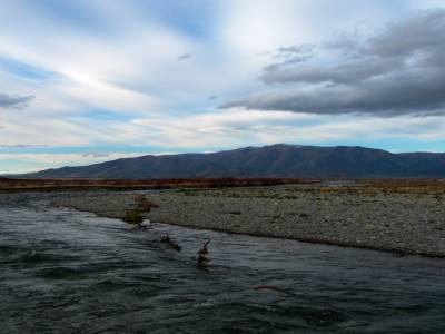 Clay Cliff / Lindis Pass
