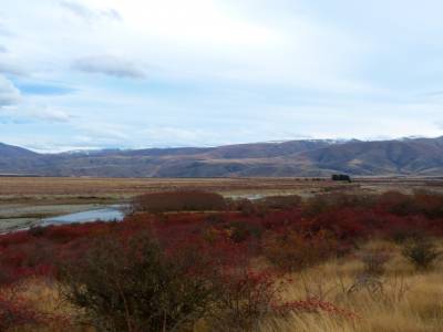 Clay Cliff / Lindis Pass