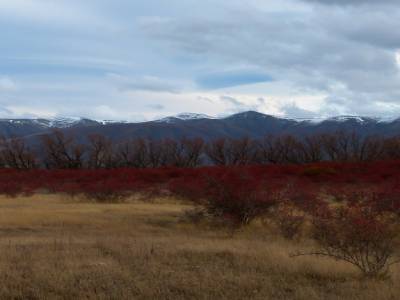 Clay Cliff / Lindis Pass