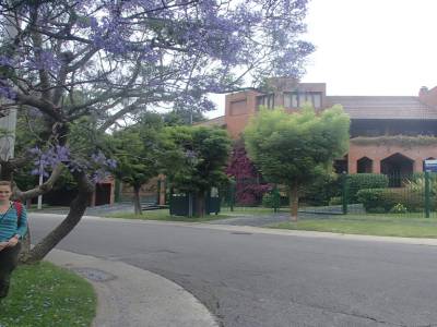 Mar del Plata 5